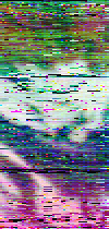 mtvza_rgb_Vegetation.png